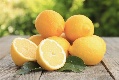 Limoni